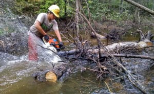 Clearing a river trail of flood and debris