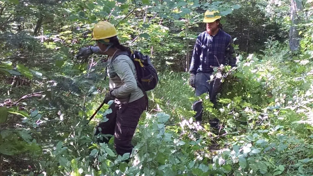 Clearing Trail On Conservation Corps - Picking A Chainsaw