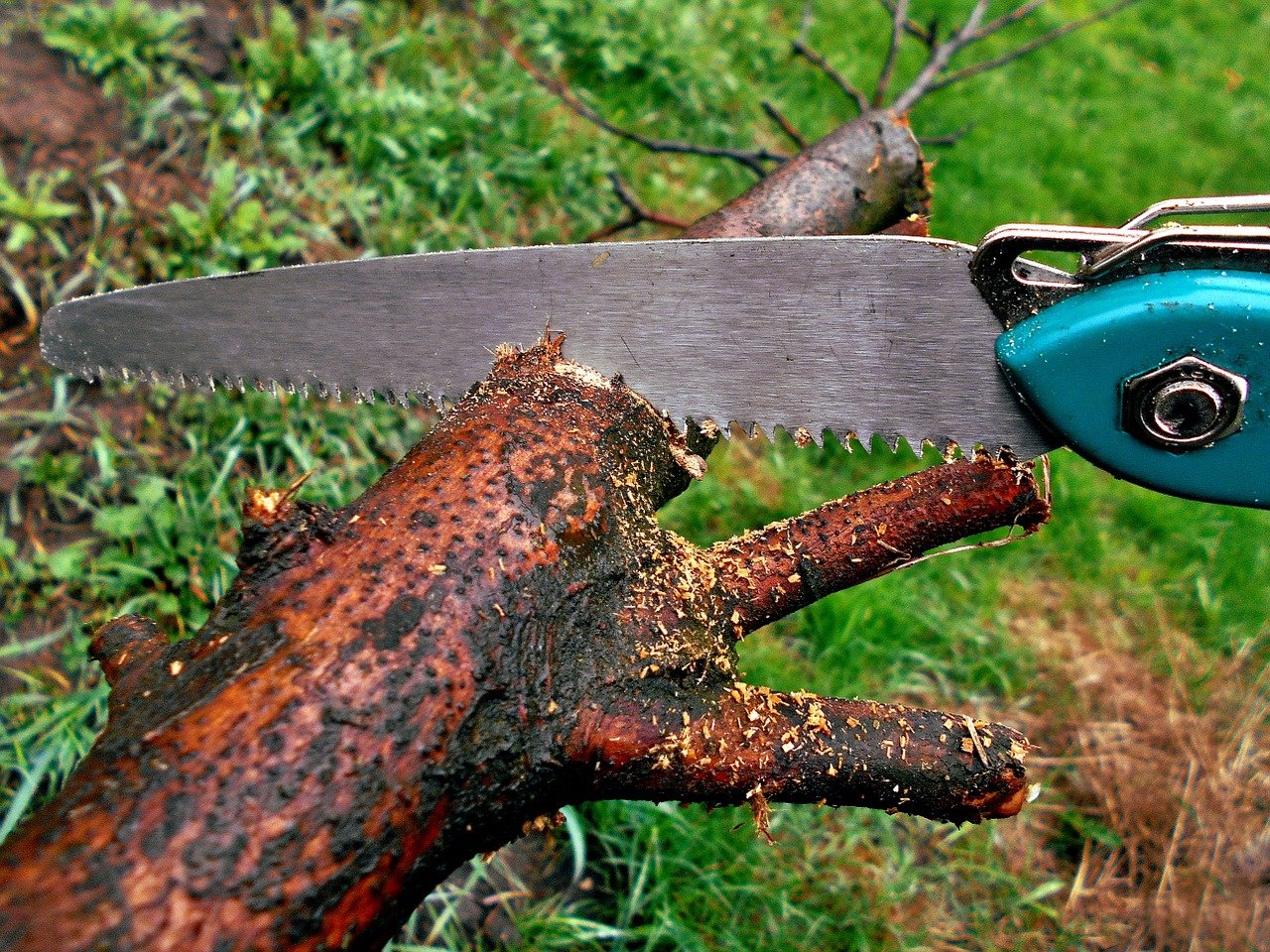 Camping bow saw