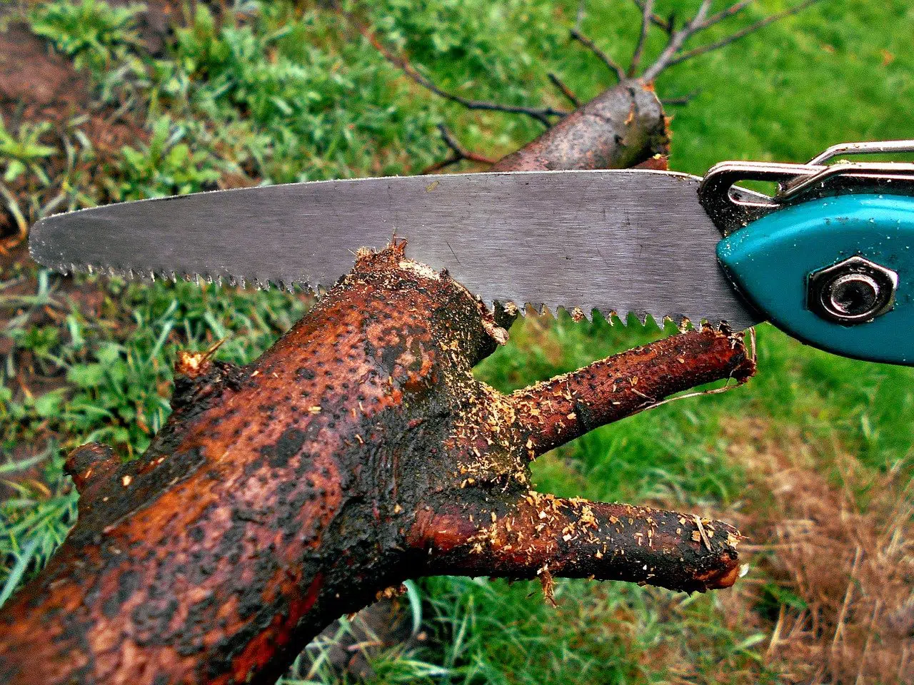 Camping Bow Saw