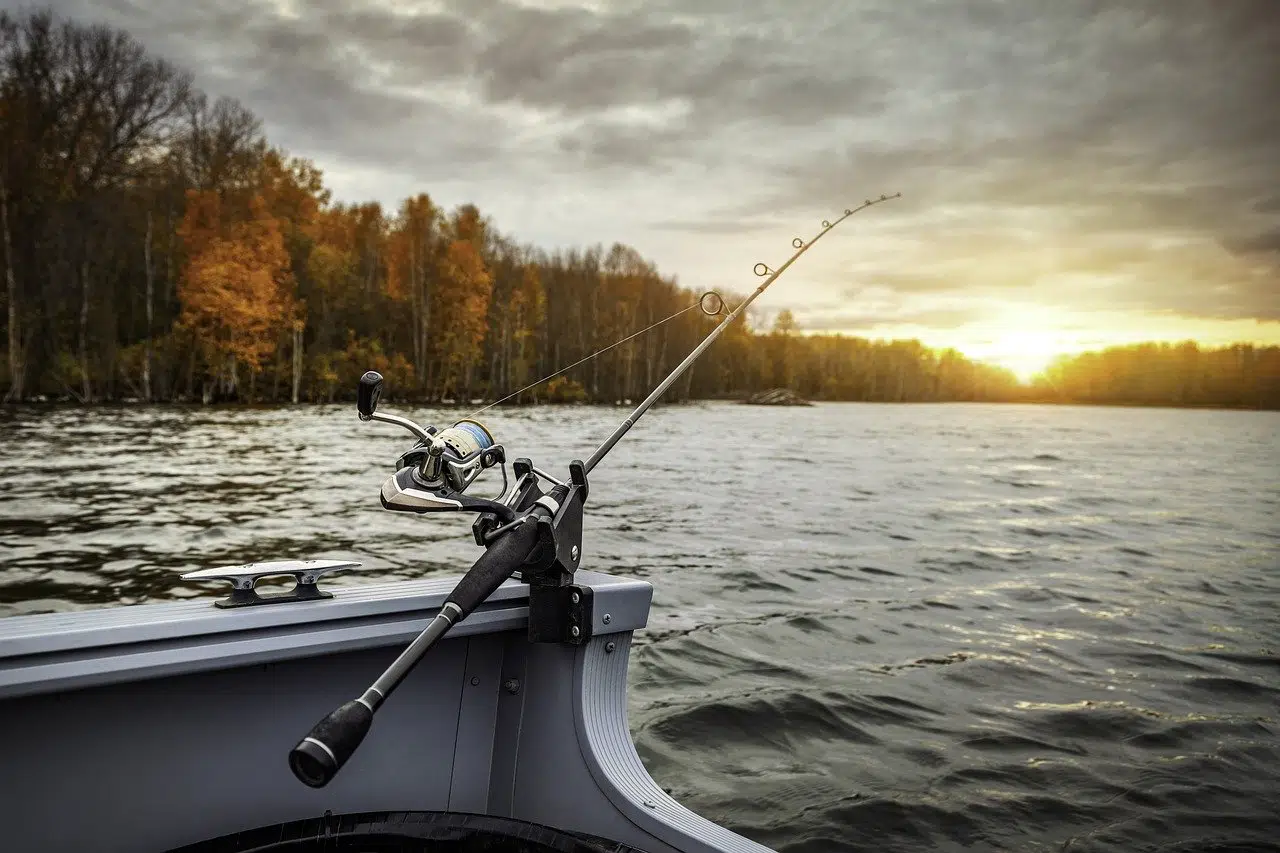 How To Choose The Right Fishing Line Color