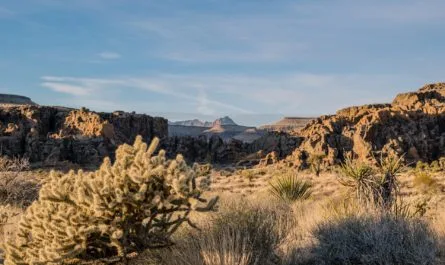 California Desert
