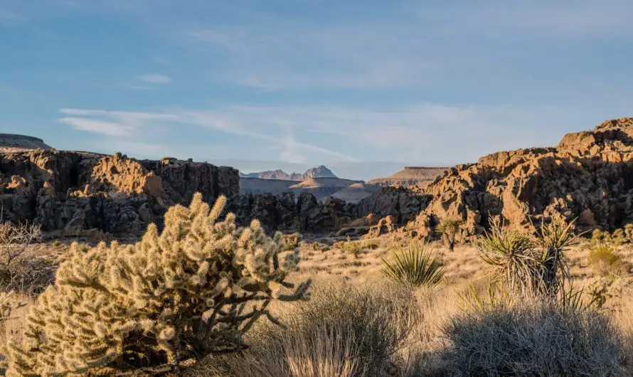 Guide to Camping in California’s Stunning Desert Landscapes