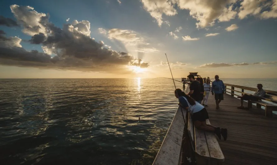 7 Of The Most Important Gear For Bank Fishing