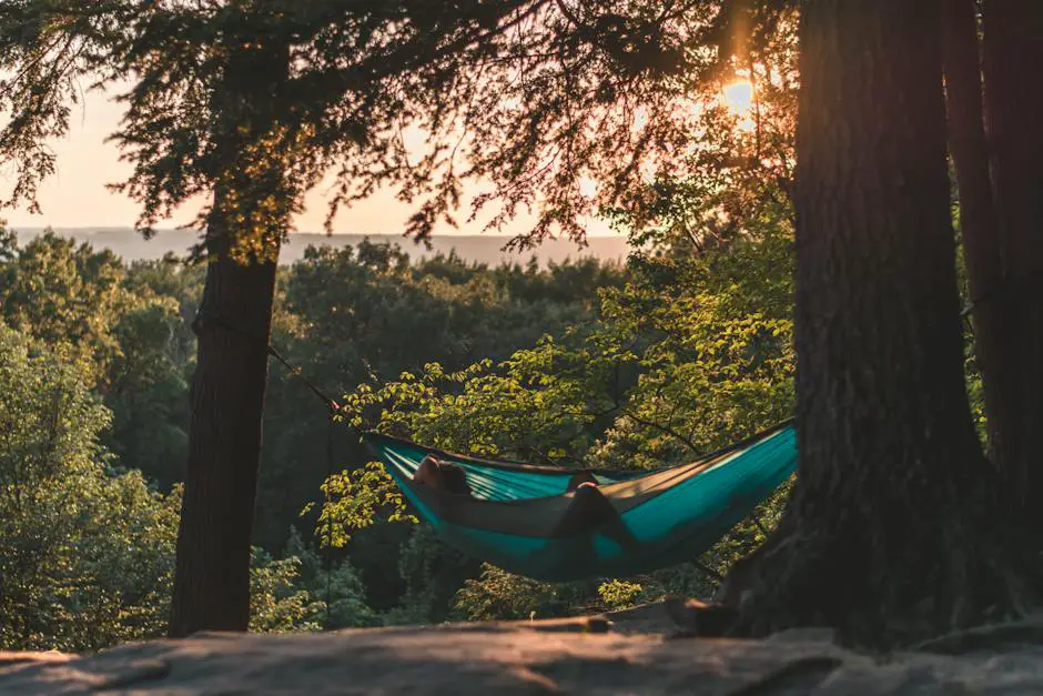 A Person Relaxing In A Hammock Suspended Between Two Trees In A Lush Forest Environment