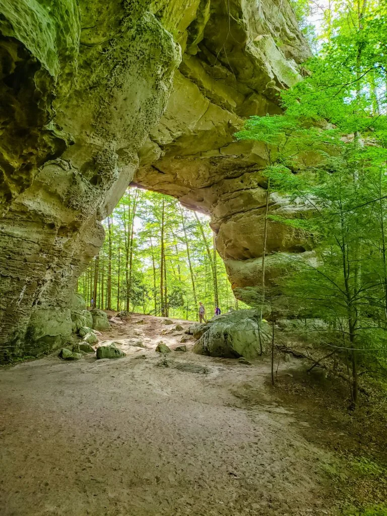 We Spotlight 6 Top Hiking Trails in East Tennessee 4 Big South Fork National River And Recreation Area - Hiking Trails In East Tennessee
