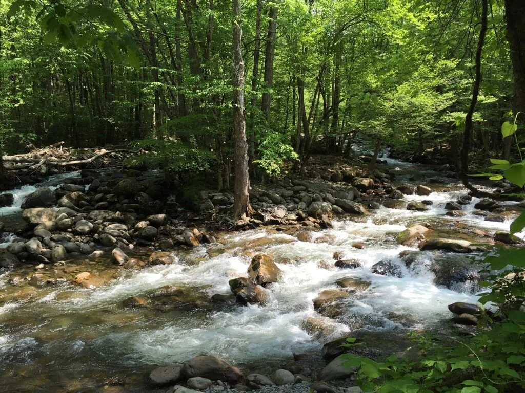 We Spotlight 6 Top Hiking Trails in East Tennessee 2 Stream At The Great Smoky Mountains National Park
