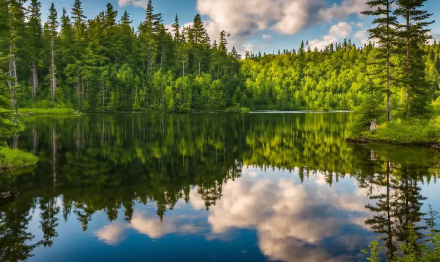 Best Seasons To Explore The Boundary Waters
